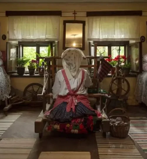 viber_slika_2022-11-14_15-27-09-448